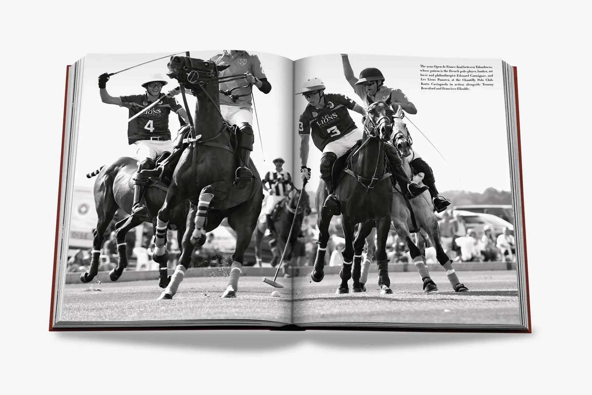Polo Heritage
