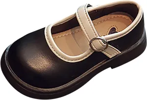 Toddler Girls Mary Jane Dress Shoes Flower Girl Shoes Little Girls School Oxford Flats for Wedding Party Shoes